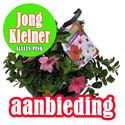 Bild von Hp27 Sundaville aanbieding Pink kleinere maat